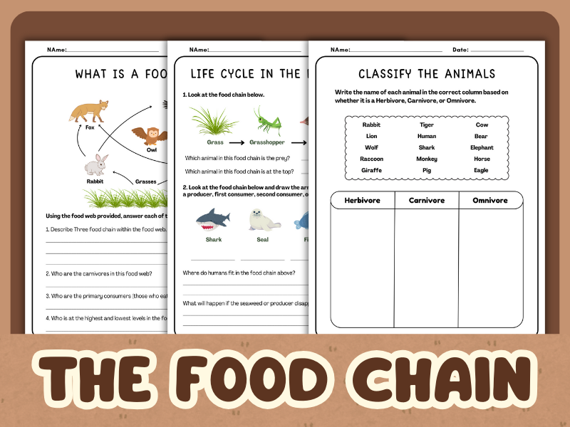 Exploring the Food Chain - Activities, Classification, and Comprehension