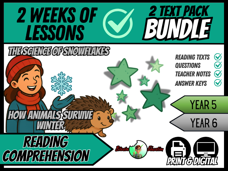 Winter Wonders Bundle | Reading Comprehension | Year 5/6