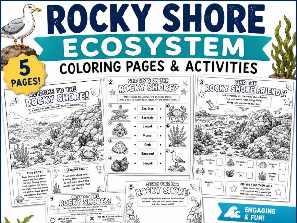 Rocky Shore Ecosystem Coloring Pages | Coastal Habitat Activities |Ocean Science Ages 6-10