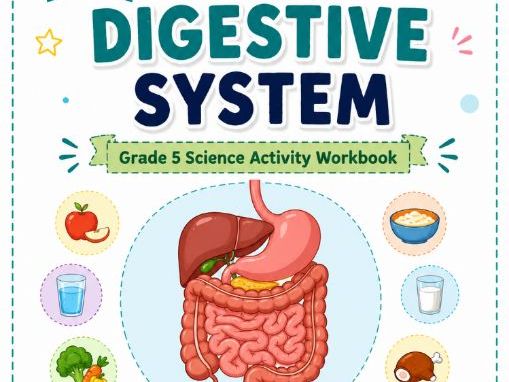 Grade 5 Science Workbook – The Digestive System & Balanced Diet