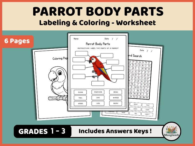 Parrot Body Parts | Bird Anatomy | Tropical Birds | Labeling & Coloring | Science Worksheet | KS1 |