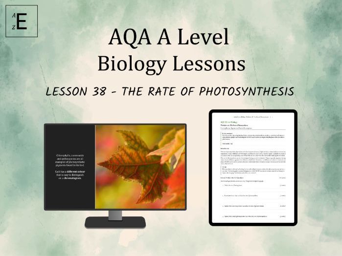 AQA A Level Biology Lesson 38 - The Rate of Photosynthesis
