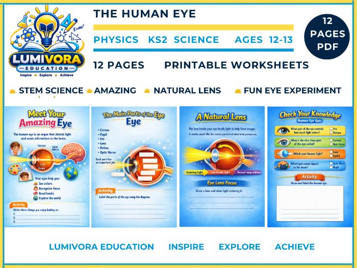 KS3 Physics | The Human Eye STEM Worksheets & Activities (Ages 12–13)