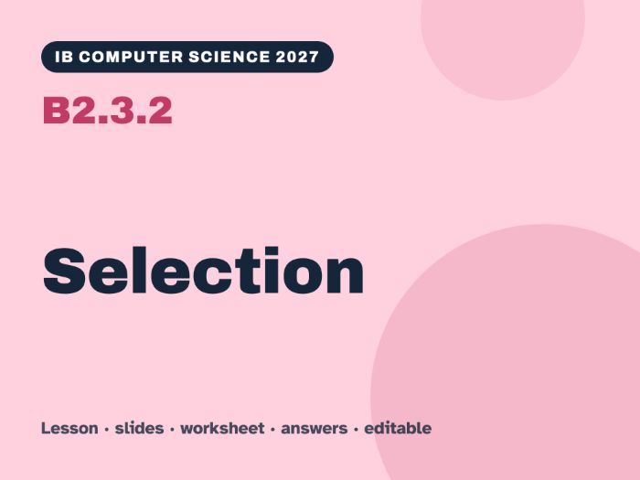 IB Computer Science 2027 – B2.3.2 Selection – Lesson & Worksheet