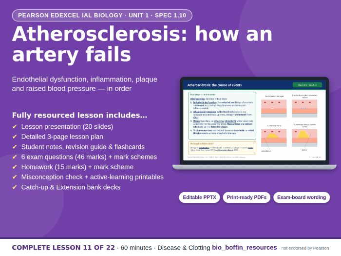 IAL Biology Edexcel – Atherosclerosis & CVD