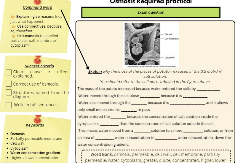 GCSE Biology Paper 1 – Required Practicals Mini Bundle (Photosynthesis, Osmosis, Microscopy) | Scaffolded/Differentiated