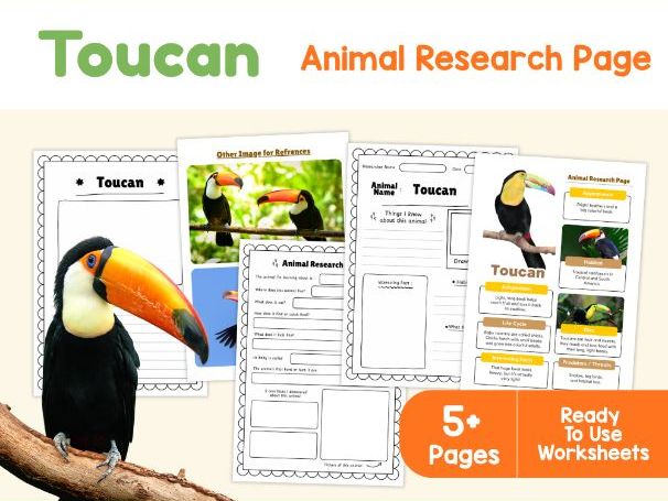 Toucan Research Worksheets | Rainforest Birds and Habitats