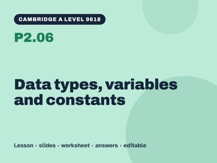 Cambridge A Level Computer Science 9618 – P2.06 Data types, variables and constants