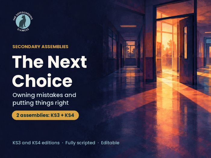 The Next Choice: Owning Mistakes Assembly (KS3 and KS4)