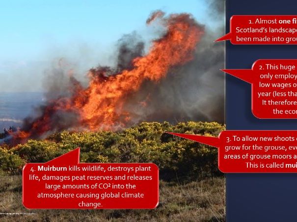 Rural land use conflict in the Cairngorms National Park - Grouse Moors