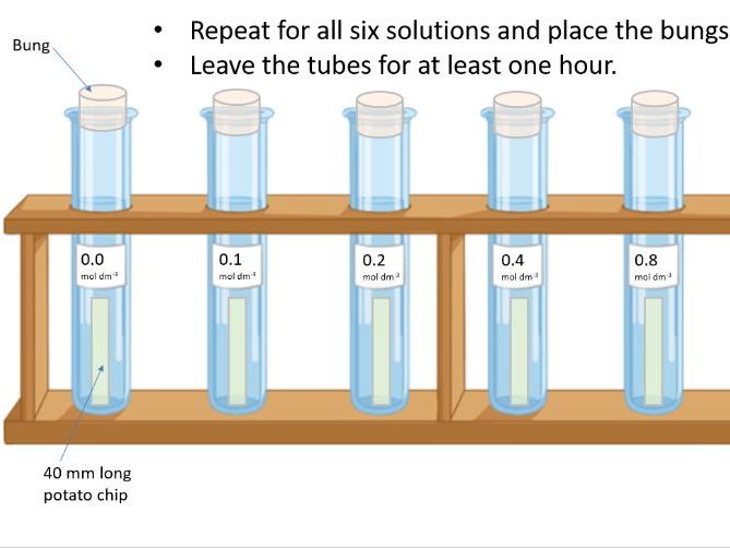Complete A-Level Biology Lesson: Water Potential of Potato Tissue & Practical Pack (OCR PAG 8.1 / AQ