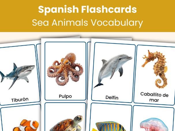 Spanish Sea Animals Flashcards | 24 Real Photo Vocabulary Cards