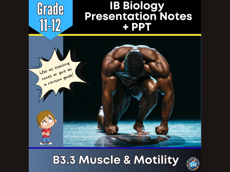 IB DP Biology B3.3 Muscle & Motility Teaching Notes & PowerPoint 2026