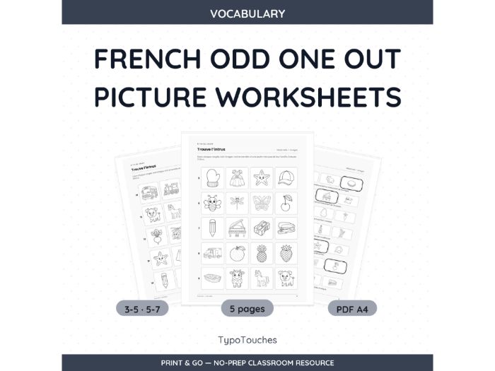 French Odd One Out Picture Sheets | 5 Sheets
