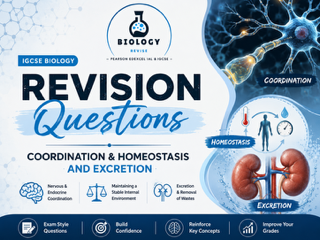 IGCSE Biology Coordination- Homeostasi&Excretion Revision Questions