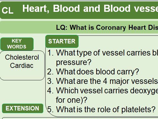 GCSE Combined Biology AQA Topic 2 organisation