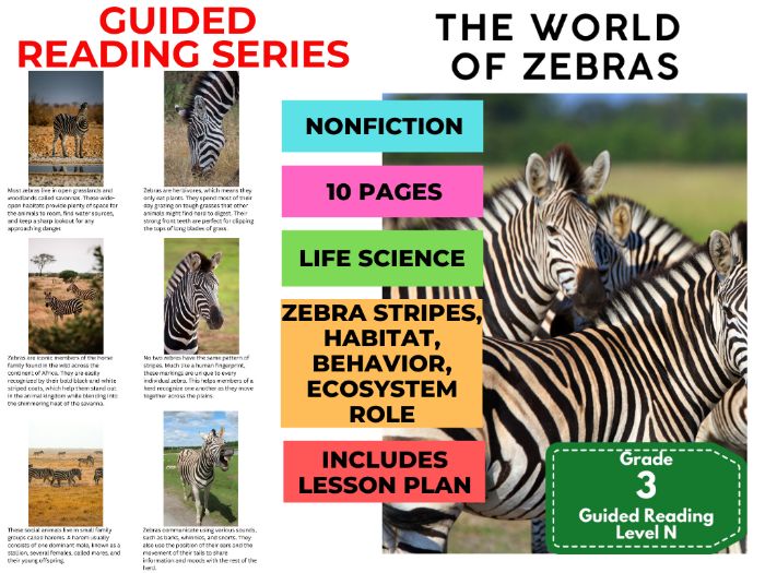 Guided Reading Level N - World of Zebras (with Lesson Plan)