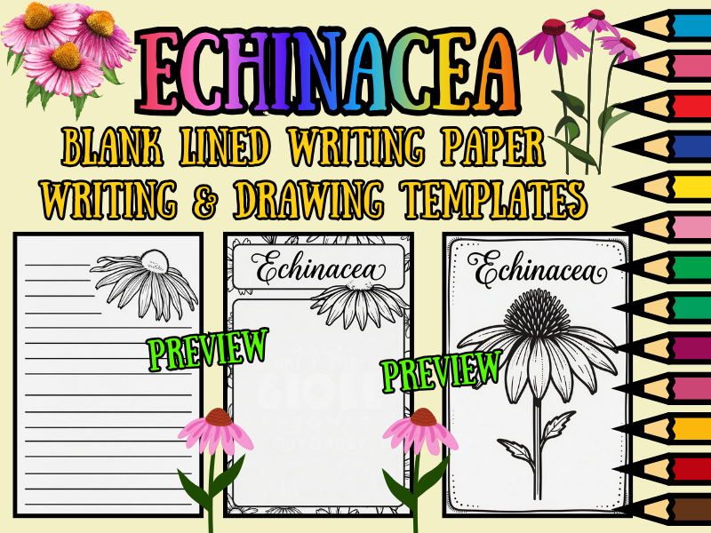 Echinacea Flower Coloring Pages & Blank Lined Writing Paper Templates | NO PREP