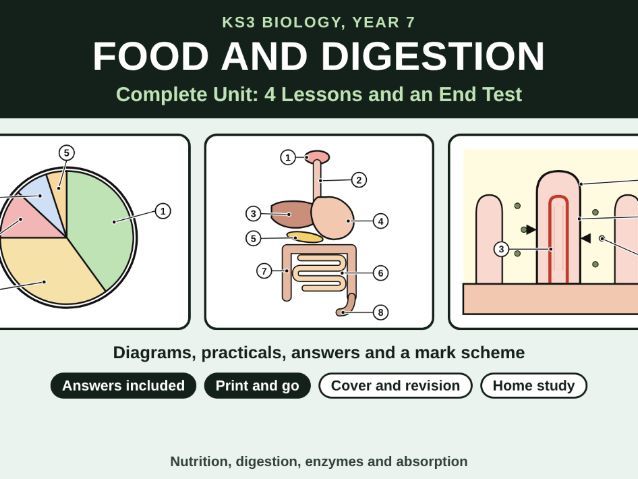 KS3 Biology Food and Digestion Unit Bundle
