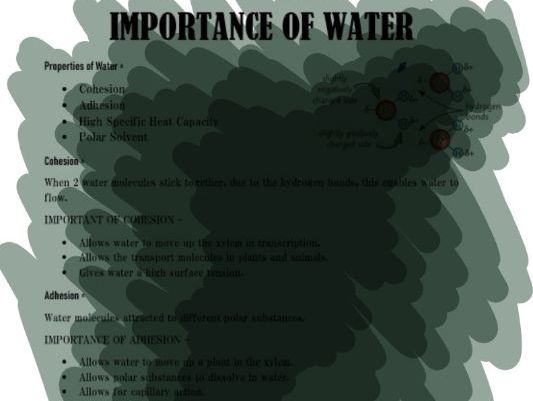 Edexcel A Biology Topic 1 - 1.1