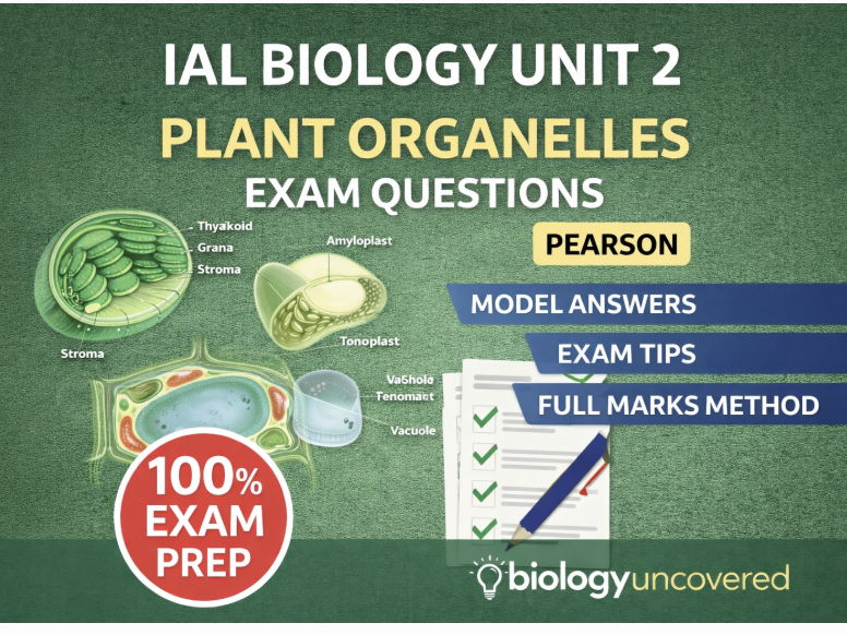 IAL Biology  Plant Organelles Exam Questions