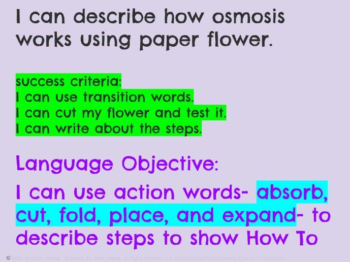 Magic Paper Flower: Osmosis Experiment & Procedural Writing (Grades 1-2)