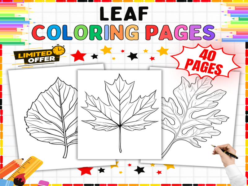 Leaf Colouring Pages | 40 Printable Nature Worksheets for Early Years Creative Learning