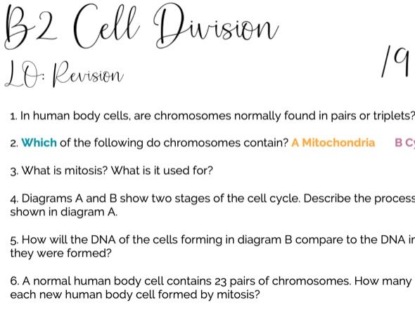 B2 Revision