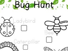 Bug Hunt