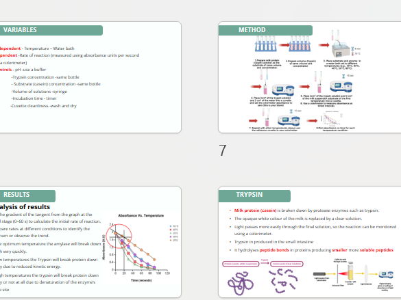 Core Practical 4 Factors affecting enzyme reactions