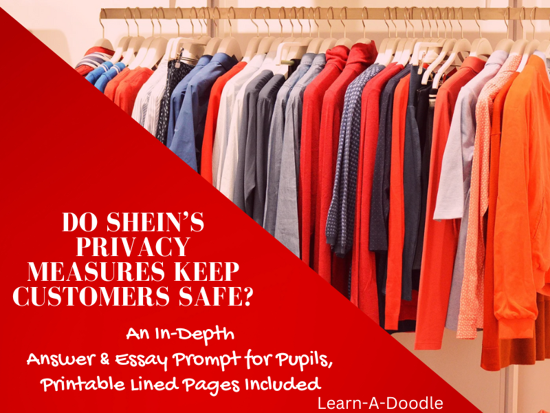 Do SHEIN’s Privacy Measures Keep Customers Safe? An In-Depth Answer & Prompt