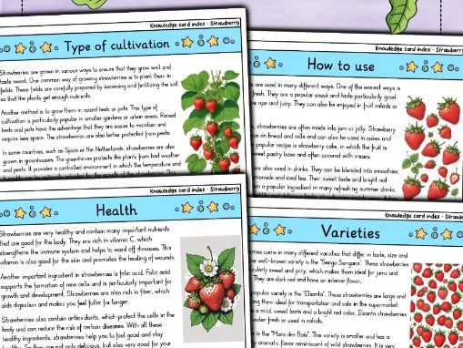 Strawberry | Biology | Sweet Berry & Seasonal Favorite