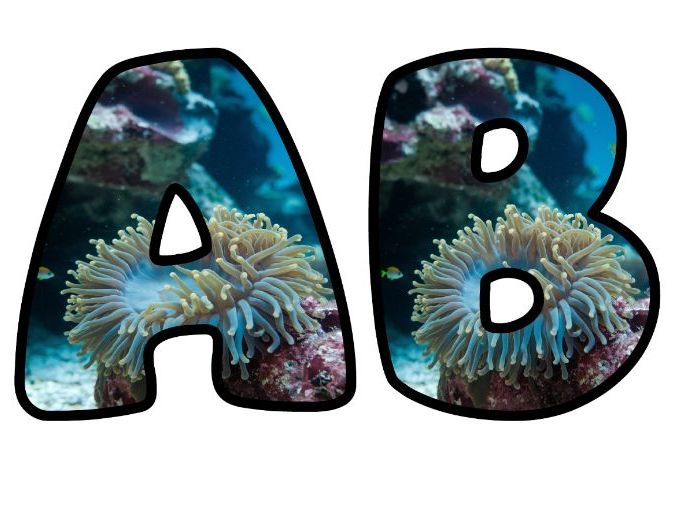 Coral 3 Animal Photo Lettering Set | Classroom Display | Upper & Lowercase, 0-9 and Signs