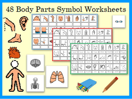 48 Parts of the Body - Symbol Worksheets