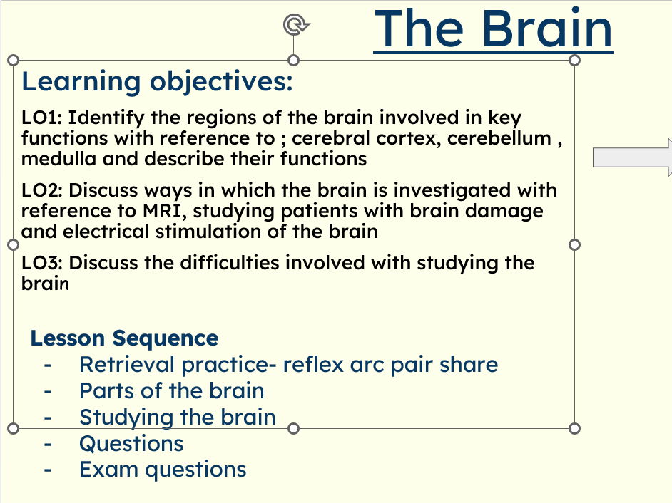 The Brain (AQA GCSE Biology)