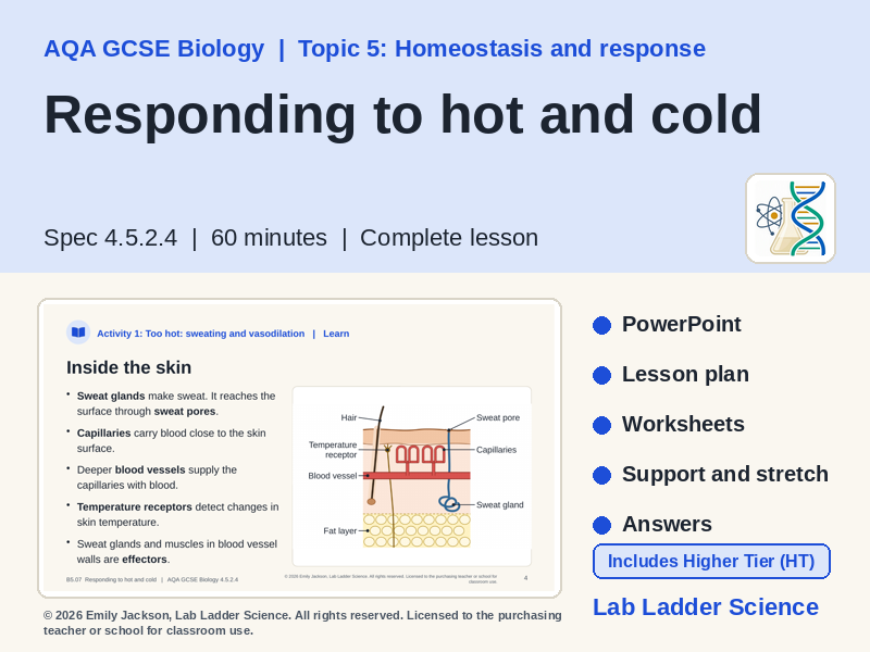 B5-07 Responding to Hot & Cold: AQA GCSE Biology