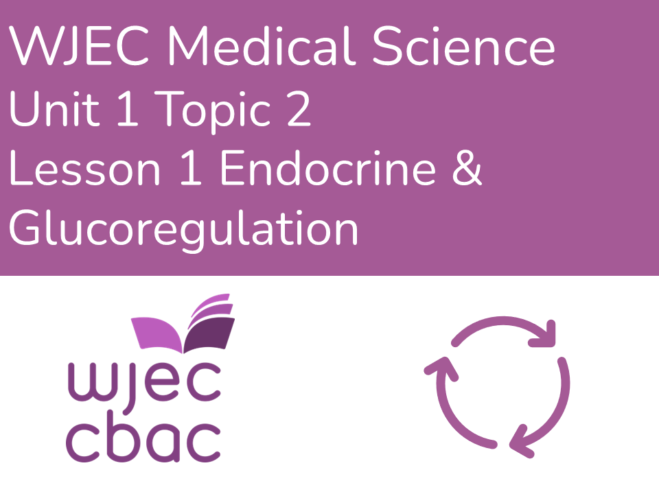 WJEC AAQ Medical Science U1 1.2 Endocrine & Glucoregulation