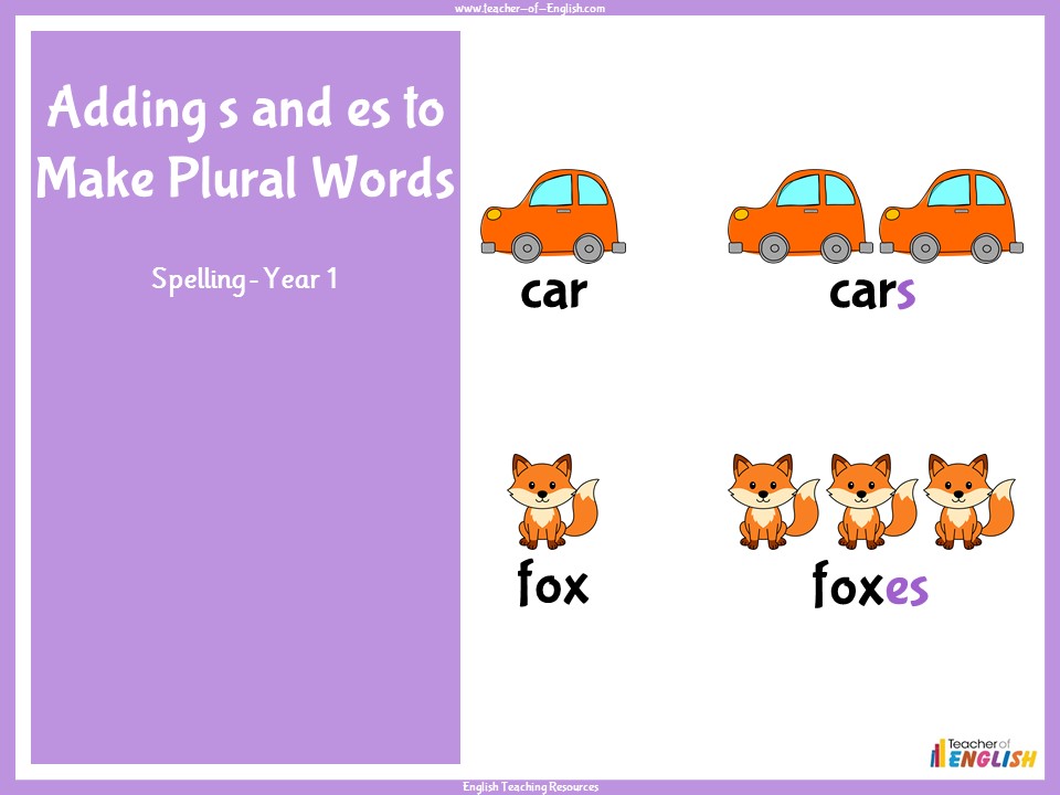 Adding s and es to Make Plural Words - Year 1 Spelling