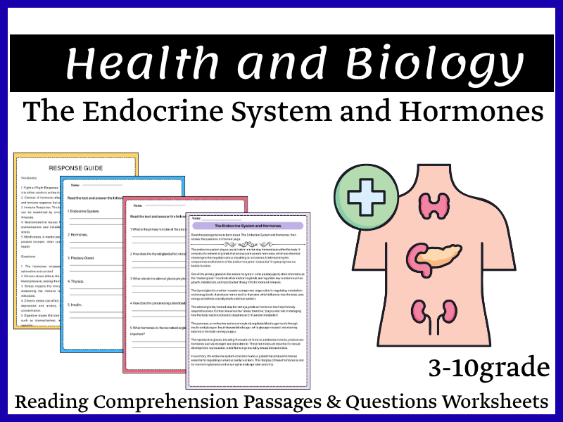 The Endocrine System and Hormones Reading Comprehension Passages & Questions Worksheets