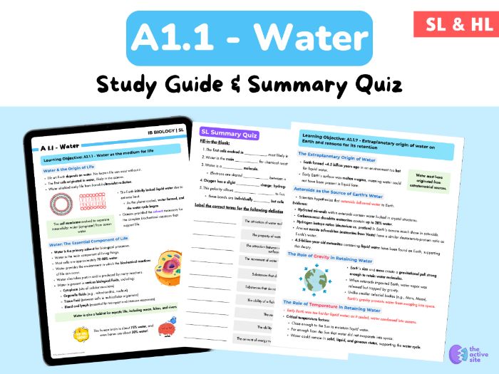 IB Biology SL & HL - A1.1 Water Study Guide & Summary Quiz (New Syllabus Notes + Assessment)