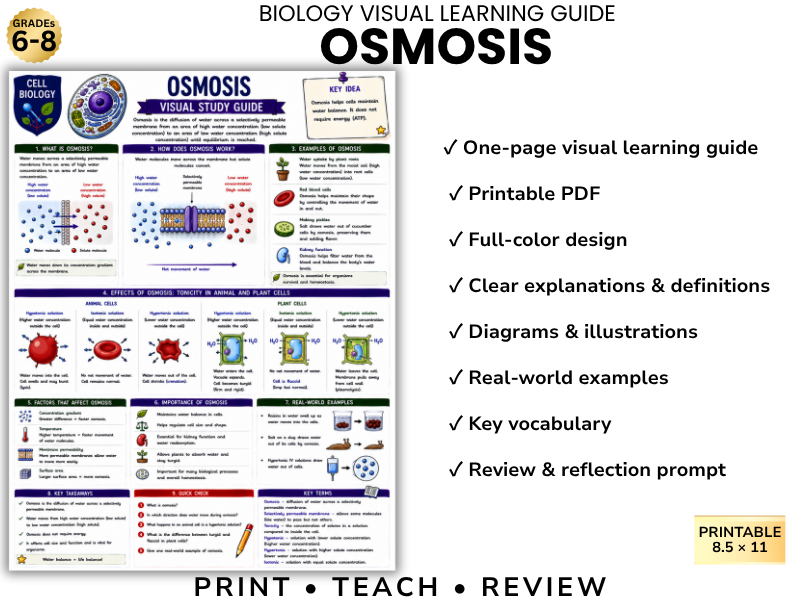 OSMOSIS Biology Visual Learning Guide | Grade 8 & Middle School Science