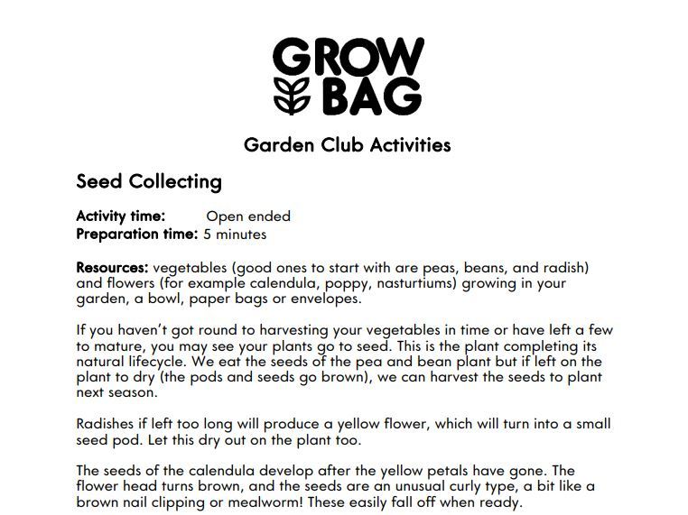 Seed collecting in the school garden/ plant lifecycle