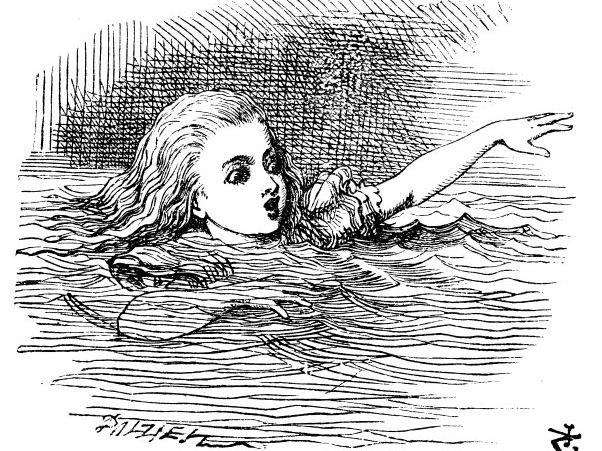 Alice in Wonderland Chapter 2 Worksheet