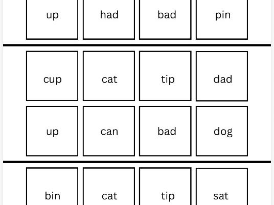 CVC bingo cards