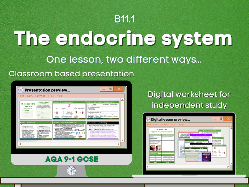 The endocrine system lesson bundle Teaching Resources