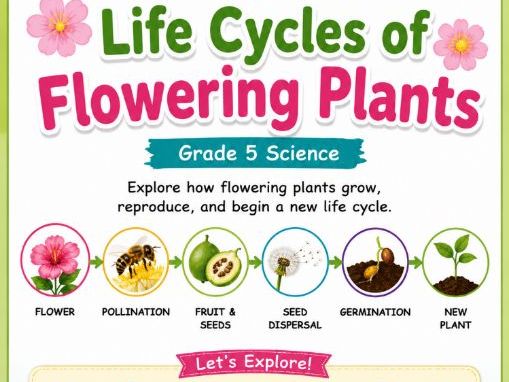 Grade 5 Science: Life Cycles of Flowering Plants – Activity Workbook