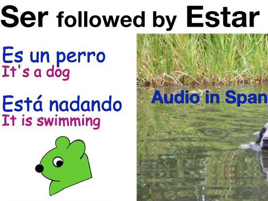 Ser + Estar and the Present Continuous