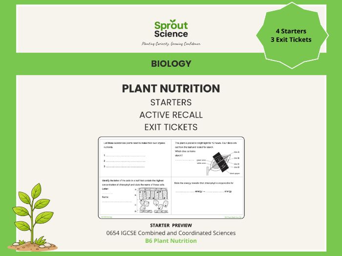 B6 Plant Nutrition | Starter Activities & Exit Tickets | IGCSE Biology