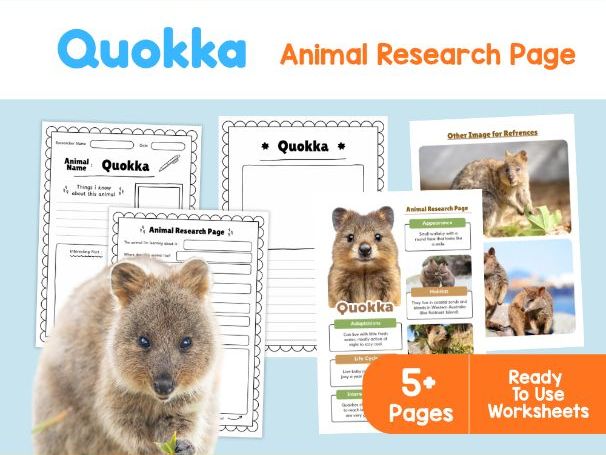 Quokka Animal Research Page | Australian Wildlife KS2 Worksheets