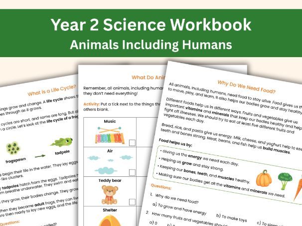 Year 2 Science Workbook: Animals Including Humans | 14 Printable Worksheets | Educational Learning